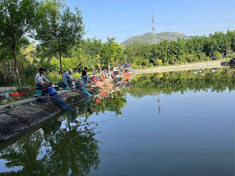 鱼情介绍图片