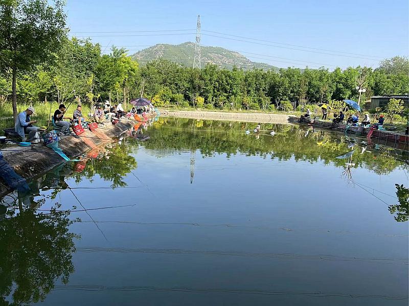 鱼情介绍图片