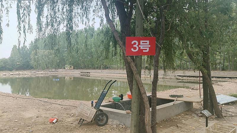 鱼情介绍图片