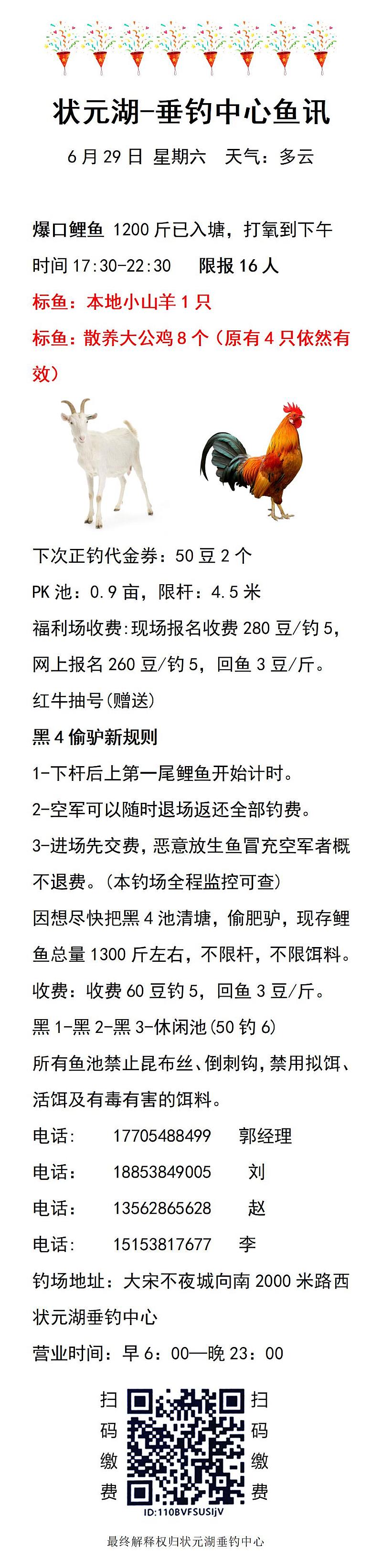 鱼情介绍图片