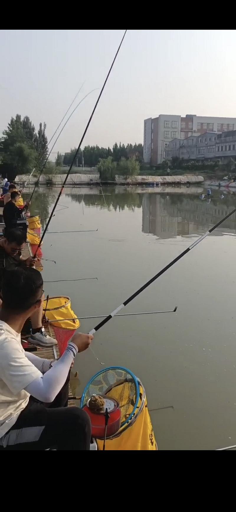 鱼情介绍图片
