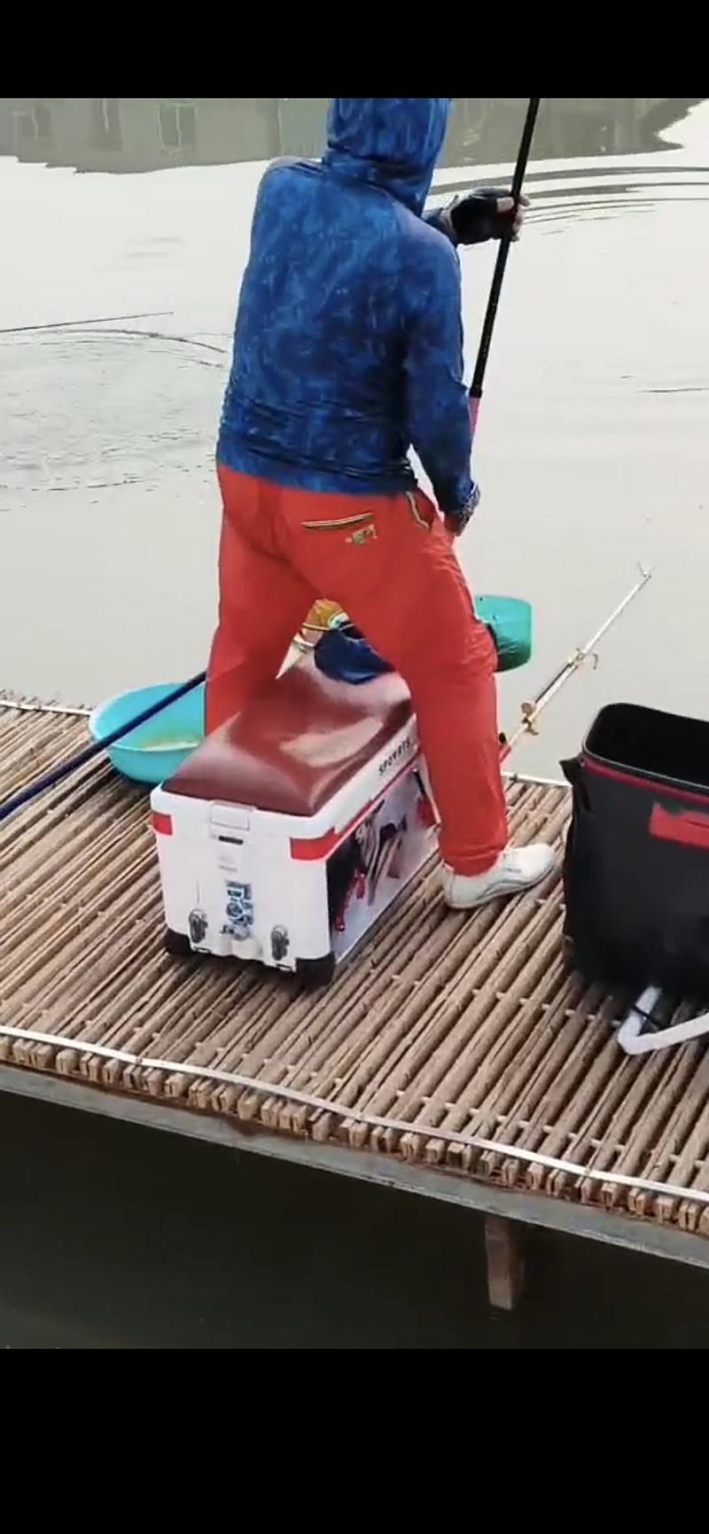 鱼情介绍图片