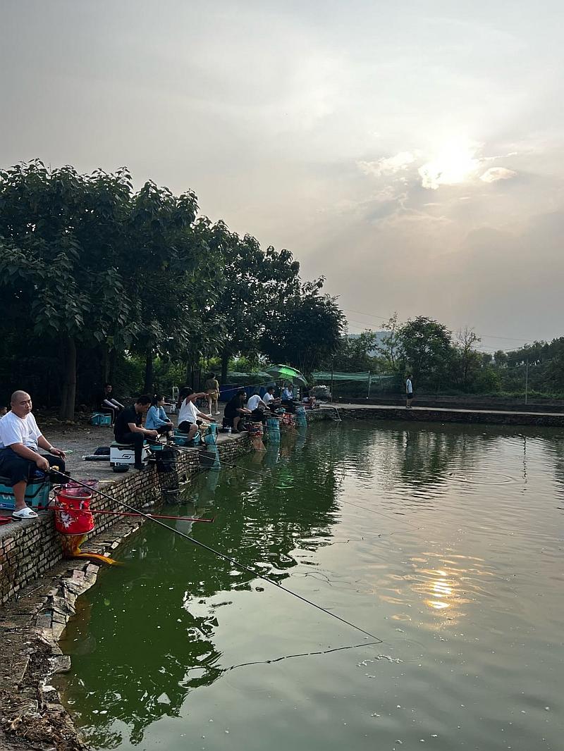 鱼情介绍图片