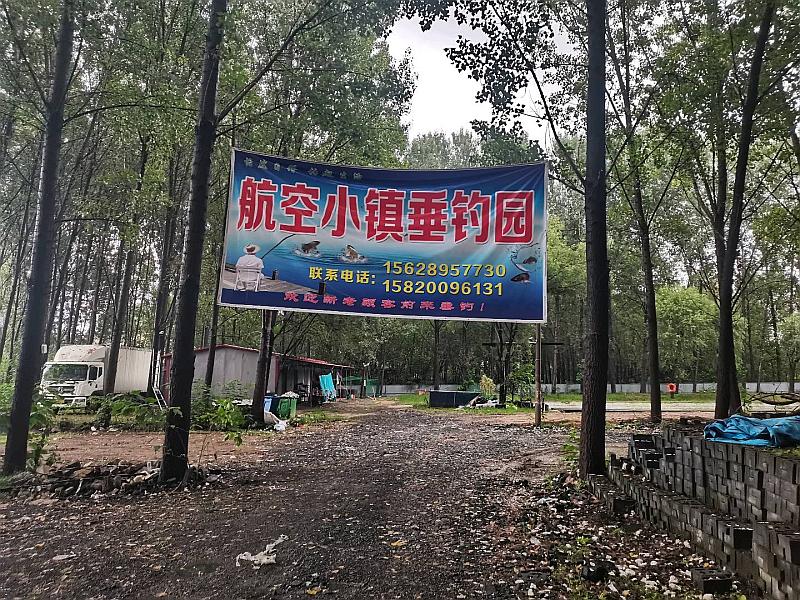 鱼情介绍图片