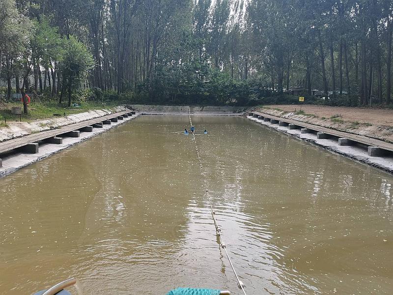 鱼情介绍图片