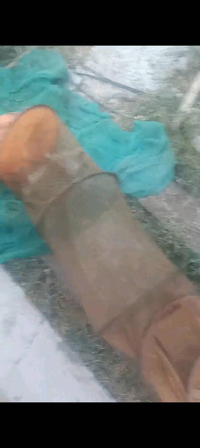 鱼情介绍图片