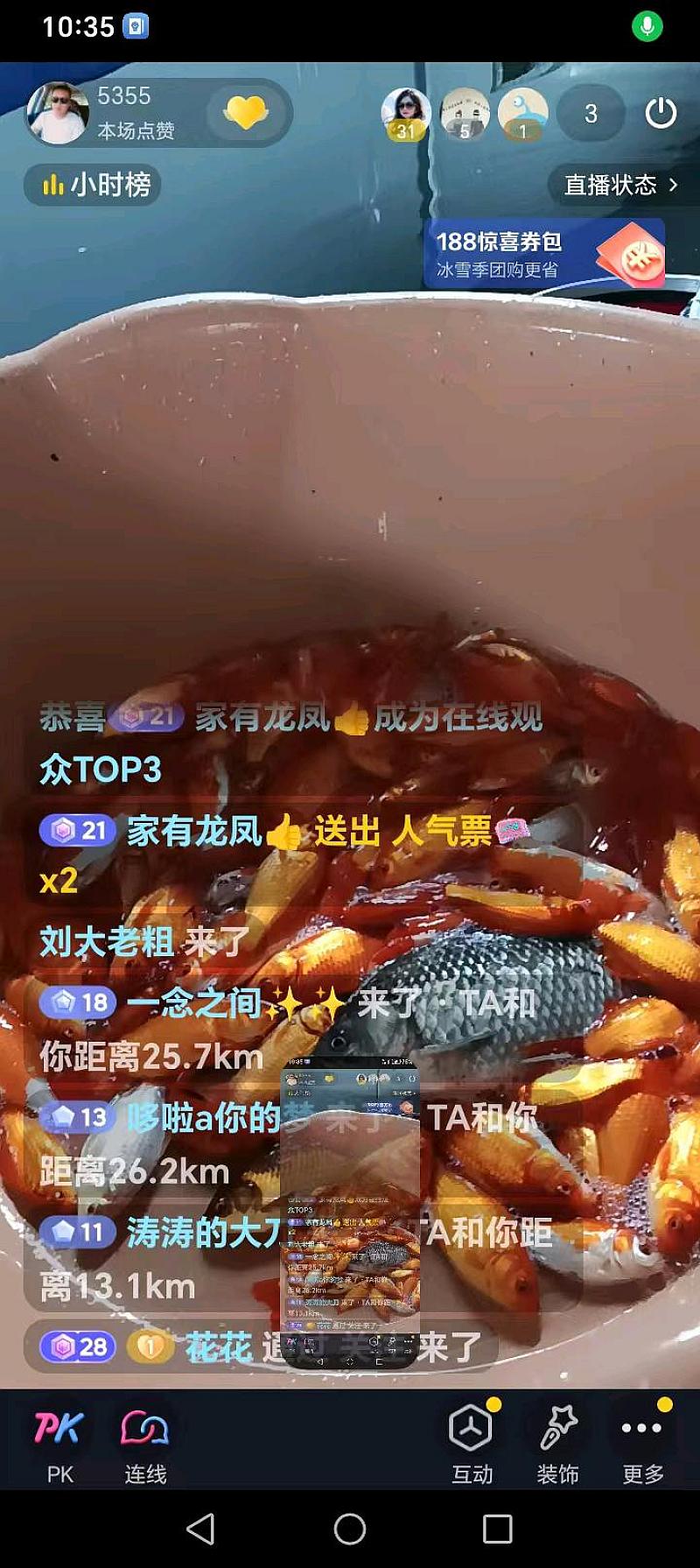 鱼情介绍图片