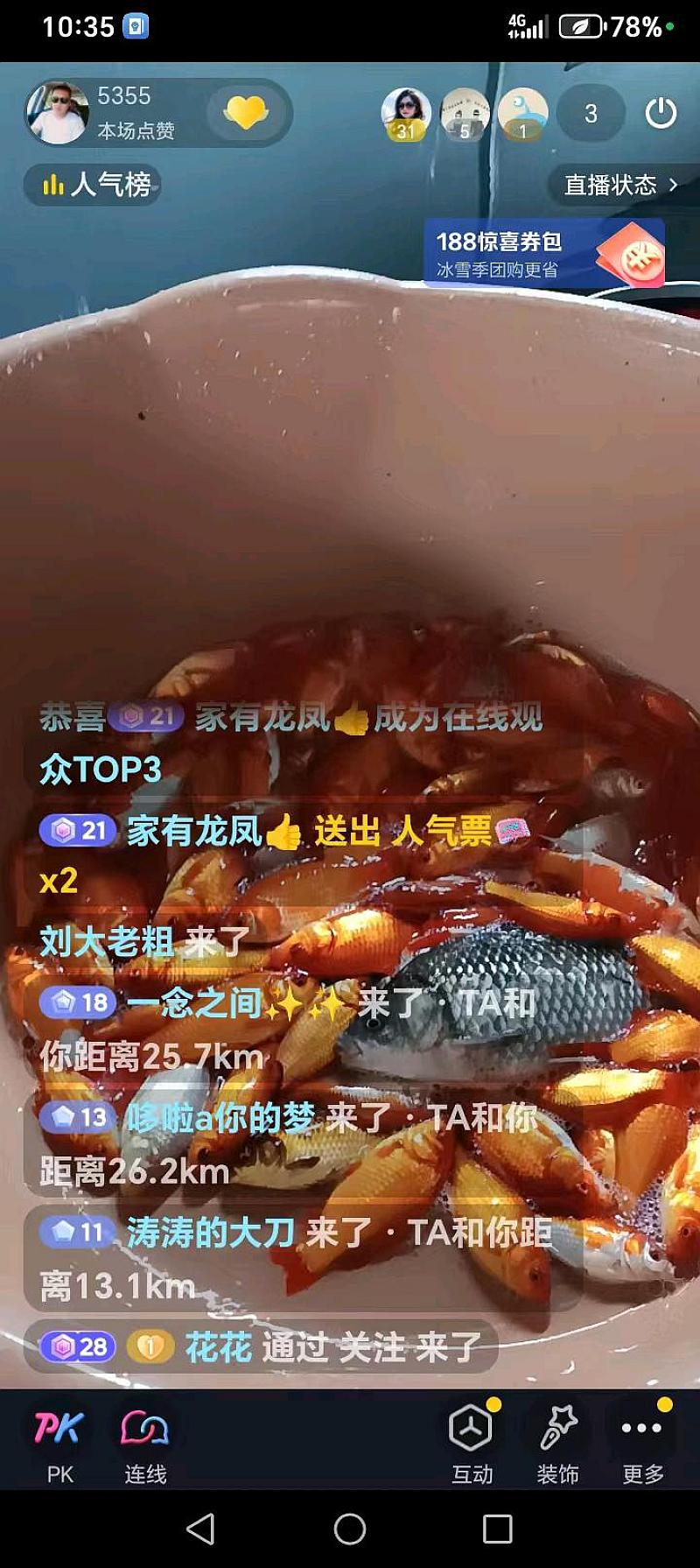 鱼情介绍图片
