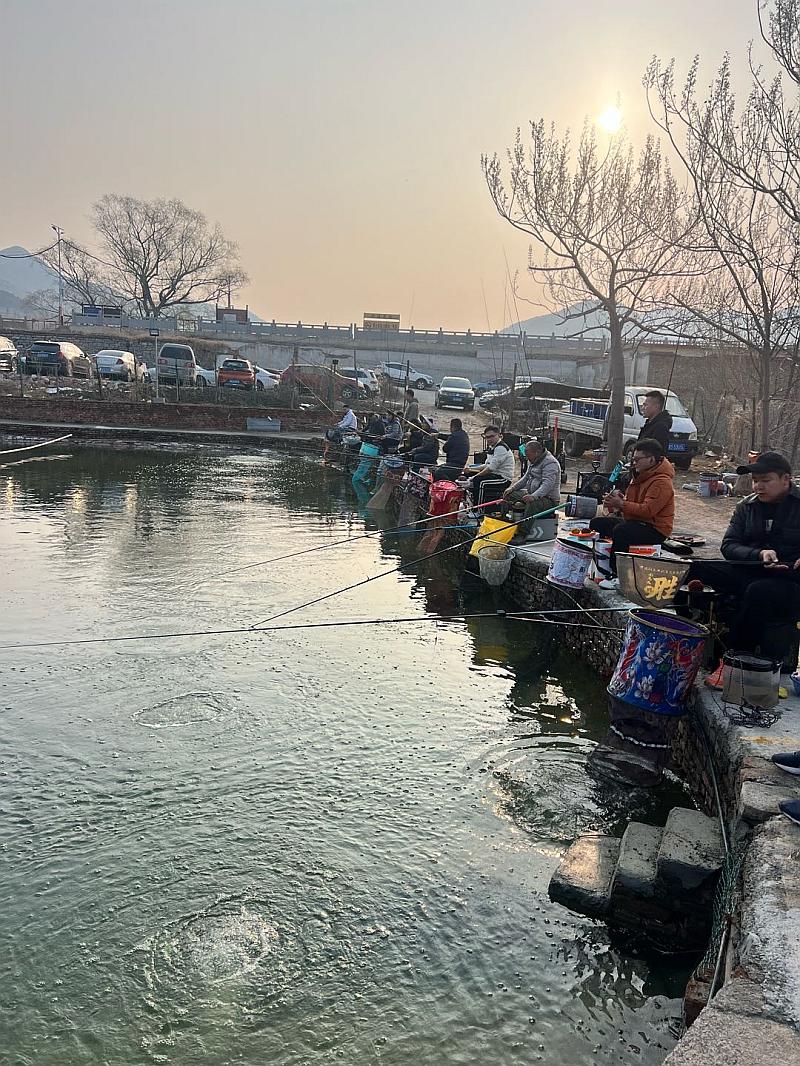 鱼情介绍图片