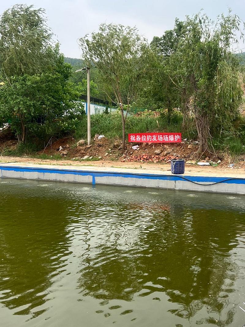 鱼情介绍图片