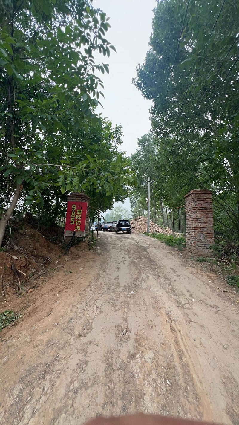 鱼情介绍图片