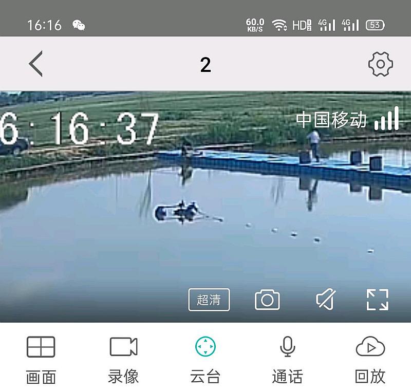 鱼情介绍图片
