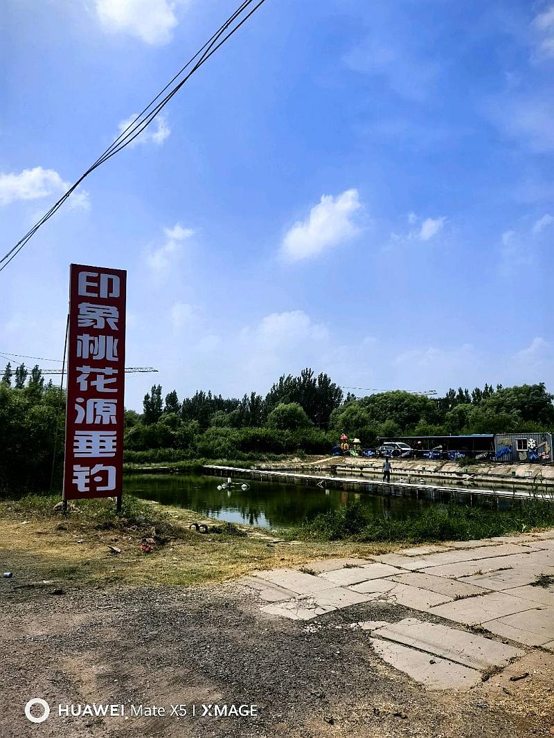 鱼情介绍图片